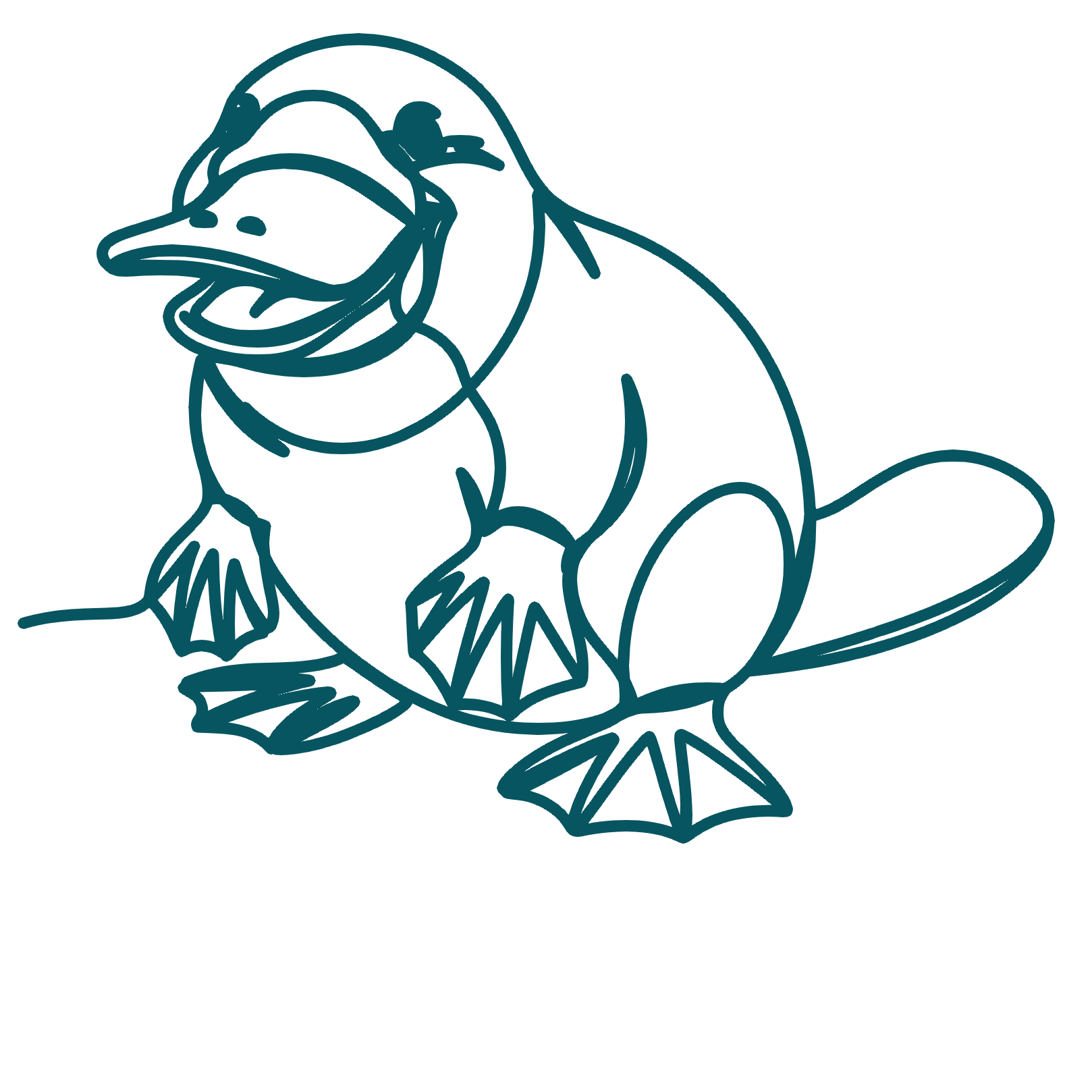 Platypus line art illustration
